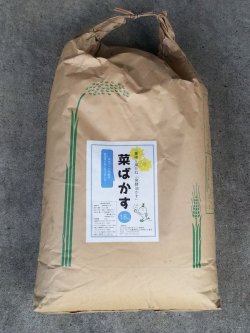 画像1: 愛東産　菜種油かす「菜ばかす」　（18kg）