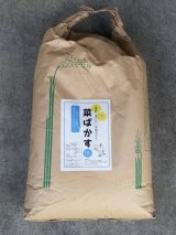 愛東産　菜種油かす「菜ばかす」（5ｋｇ）