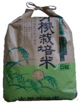 村田農産のお米（八日市）５キロ玄米