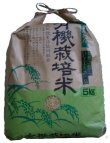 画像1: 村田農産のお米（八日市）５キロ白米