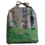 画像: 村田農産のお米（八日市）５キロ玄米