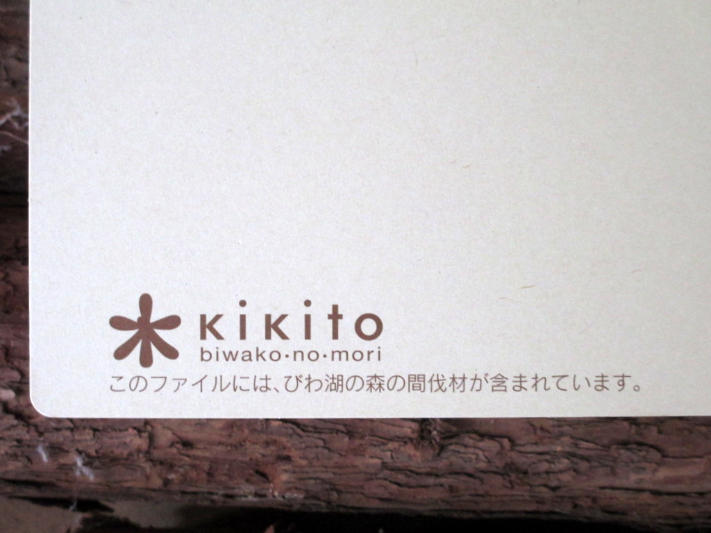 画像3: kikitoフラットファイル　1冊バラ　色：ピンク、グリーン、ブルー、イエロー